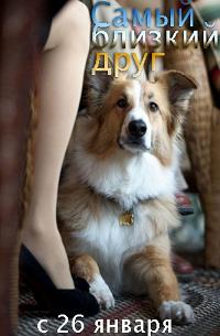 Самый близкий друг (2012) смотреть онлайн HD
