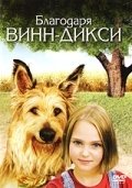 Благодаря Винн Дикси (2005) смотреть онлайн HD
