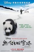 След панды (2009) смотреть онлайн
