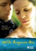 Широкое Саргассово море (2006) смотреть онлайн