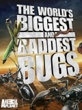 Самые большие и страшные жуки в мире (2009) смотреть онлайн