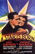 Звезда родилась (1937) смотреть онлайн