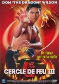 Огненное кольцо 3: Удар льва (1995) смотреть онлайн