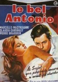 Красавчик Антонио (1960) смотреть онлайн