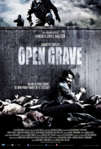 Открытая могила (2013) смотреть онлайн