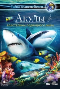 Акулы 3D: Властелины подводного мира (2013) смотреть онлайн