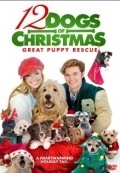 12 рождественских собак 2 (2012) смотреть онлайн